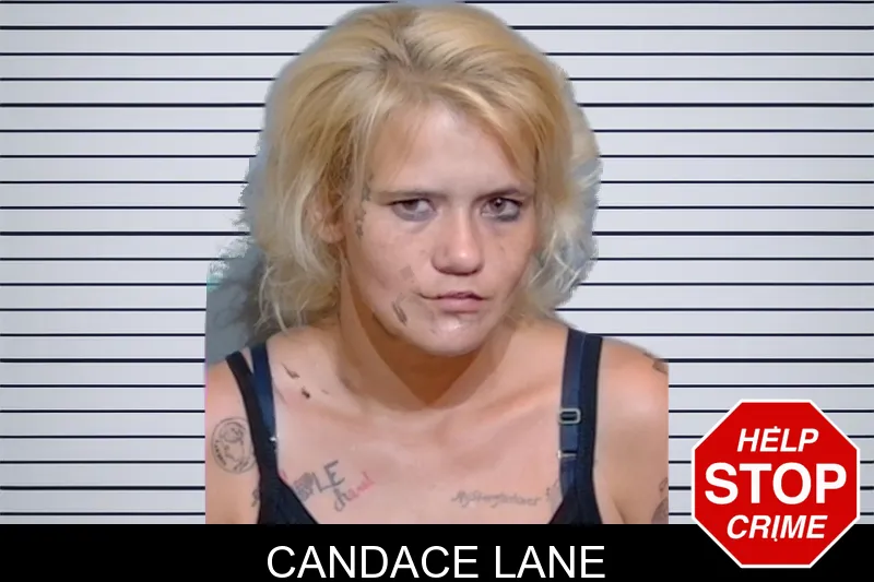 Candace Lane mugshot – Glynn County , Georgia Candace Lane mugshot