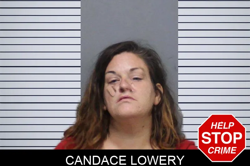 Candace Lowery mugshot