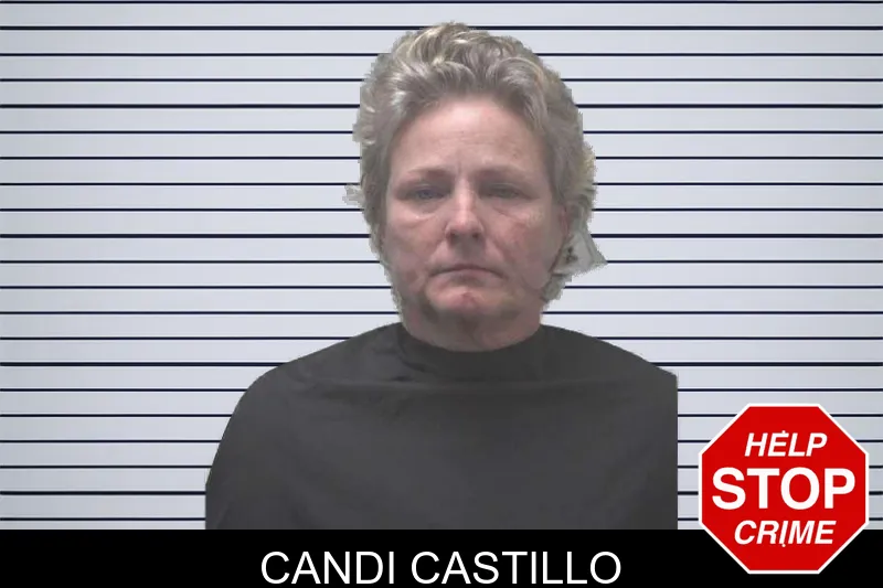 Candi Castillo mugshot – Coweta County , Georgia Candi Castillo mugshot