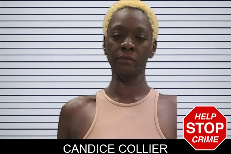 Candice Collier mugshot