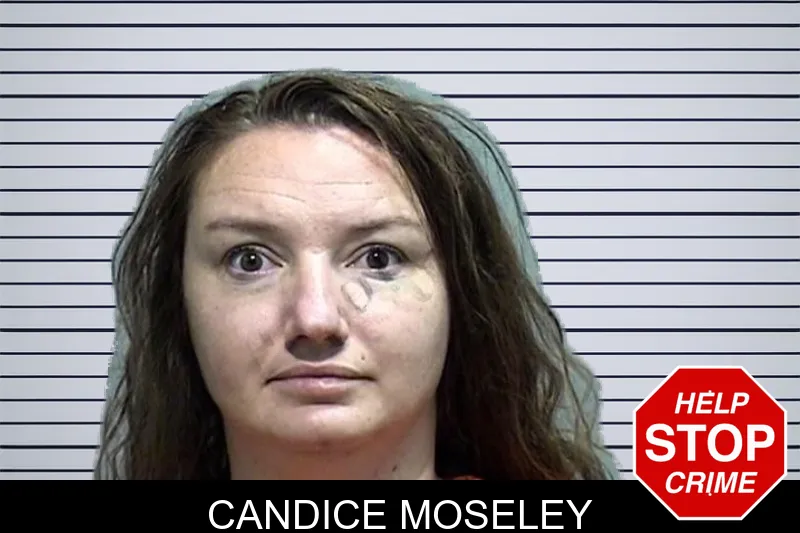 Candice Moseley mugshot – Effingham County , Georgia Candice Moseley mugshot