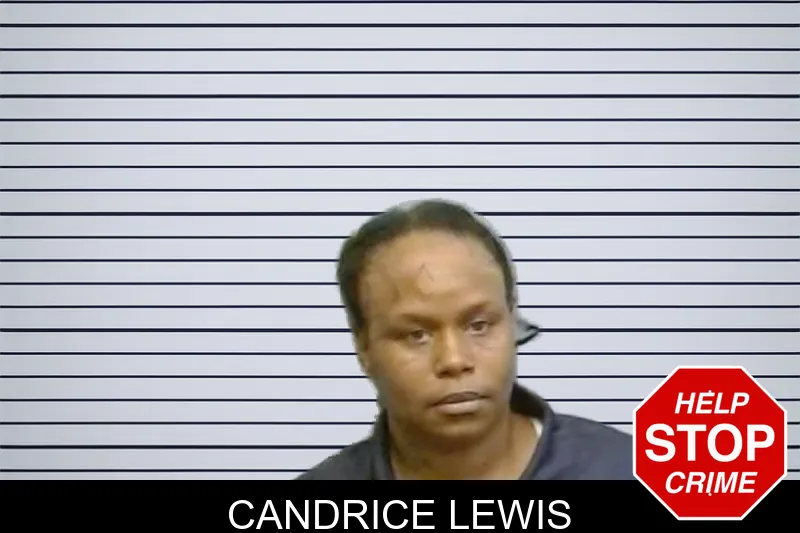Candrice Lewis mugshot – Fulton County , Georgia Candrice Lewis mugshot