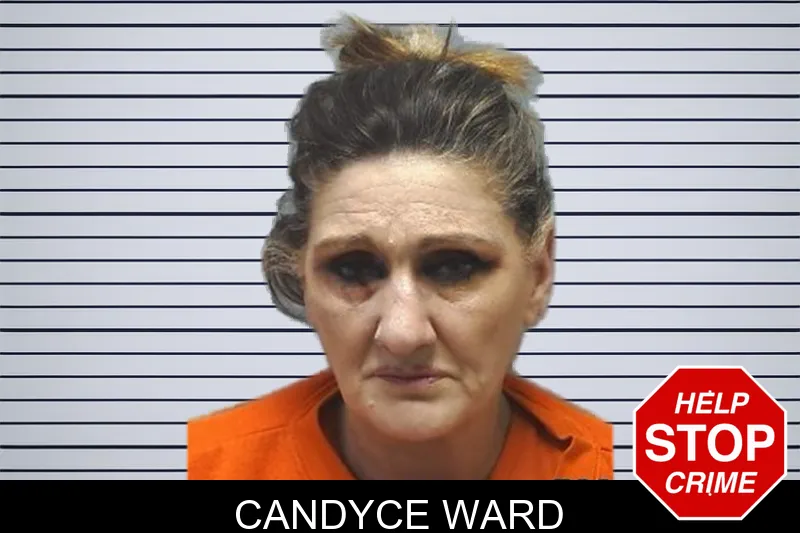 Candyce Ward mugshot – Cherokee County , Georgia Candyce Ward mugshot