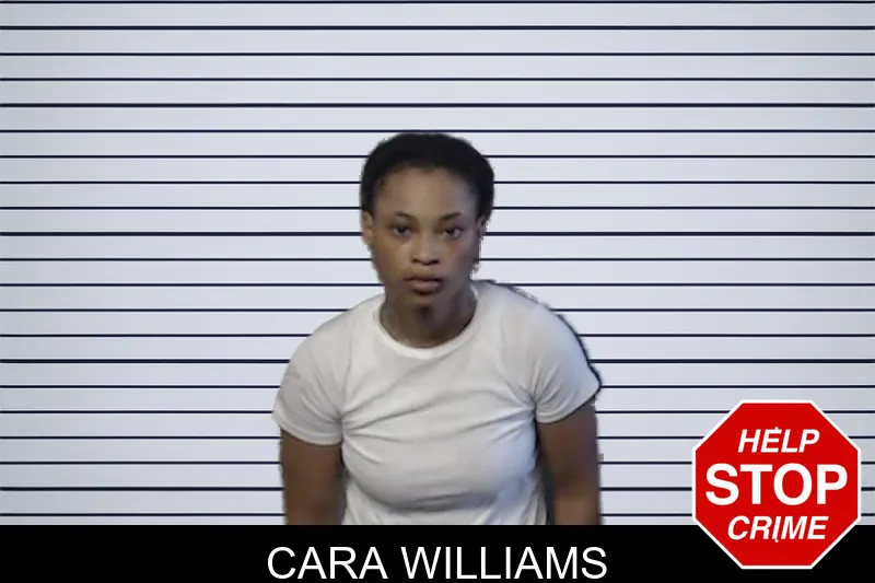 Cara Williams mugshot – DeKalb County , Georgia Cara Williams mugshot