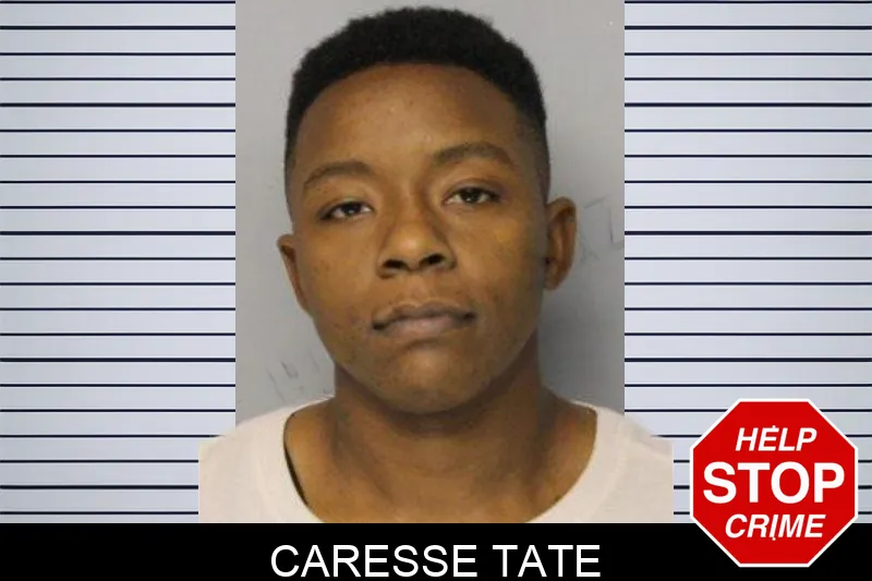 Caresse Tate mugshot – Hall County , Georgia Caresse Tate mugshot