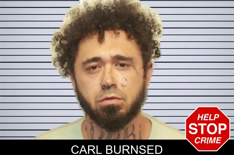 Carl Burnsed mugshot – Chatham County , Georgia Carl Burnsed mugshot