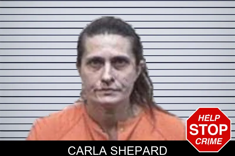 Carla Shepard mugshot – Tattnall County , Georgia Carla Shepard mugshot
