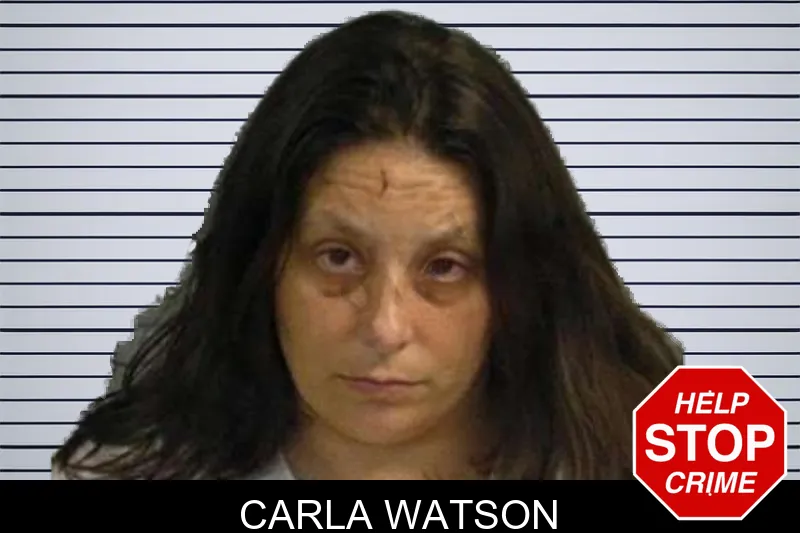 Carla Watson mugshot – Upson County , Georgia Carla Watson mugshot