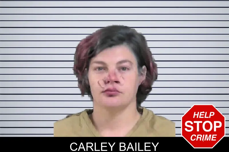 Carley Bailey mugshot – Gordon County , Georgia Carley Bailey mugshot