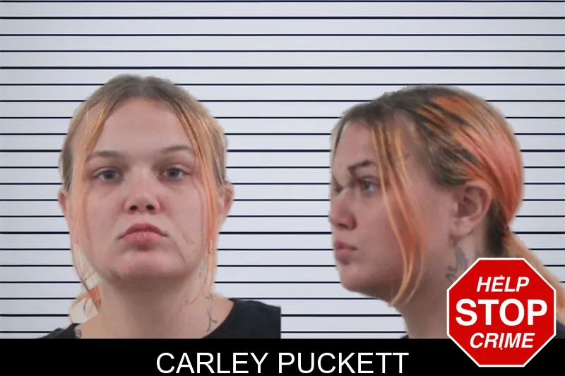 Carley Puckett mugshot – Houston County , Georgia Carley Puckett mugshot