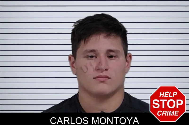Carlos Montoya mugshot – Lowndes County , Georgia Carlos Montoya mugshot