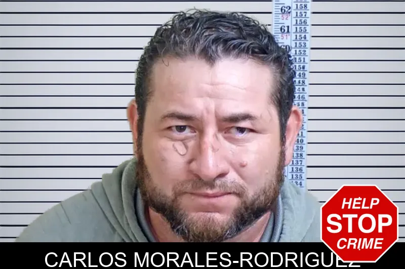 Carlos Morales-Rodriguez mugshot