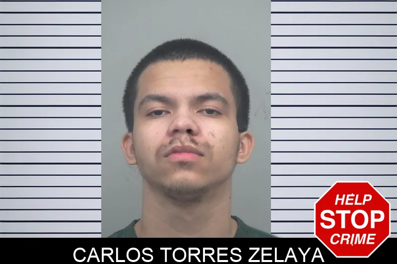 Carlos Torres Zelaya mugshot – Gwinnett County , Georgia Carlos Torres Zelaya mugshot