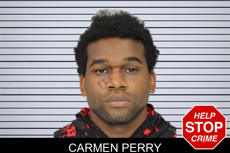 Carmen Perry mugshot – Cobb County , Georgia Carmen Perry mugshot
