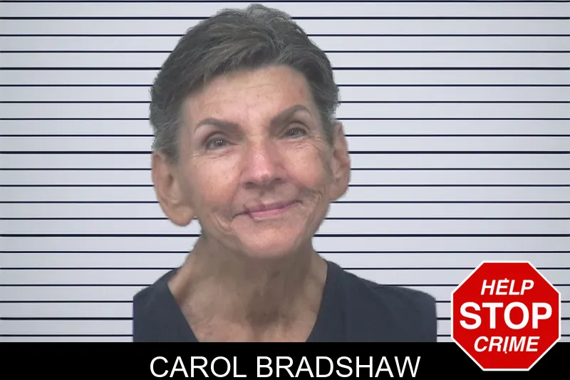 Carol Bradshaw mugshot – Gwinnett County , Georgia Carol Bradshaw mugshot