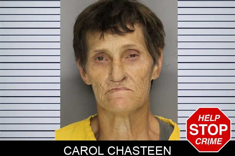 Carol Chasteen mugshot – Cobb County , Georgia Carol Chasteen mugshot