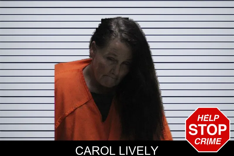 Carol Lively mugshot – Murray County , Georgia Carol Lively mugshot