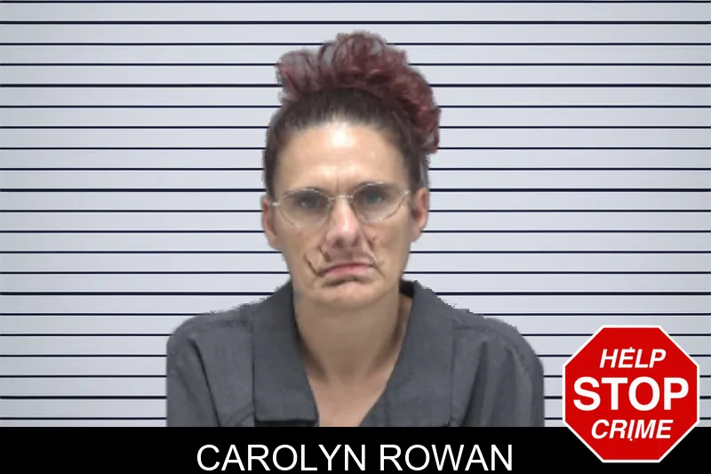 Carolyn Rowan mugshot – Dougherty County , Georgia Carolyn Rowan mugshot