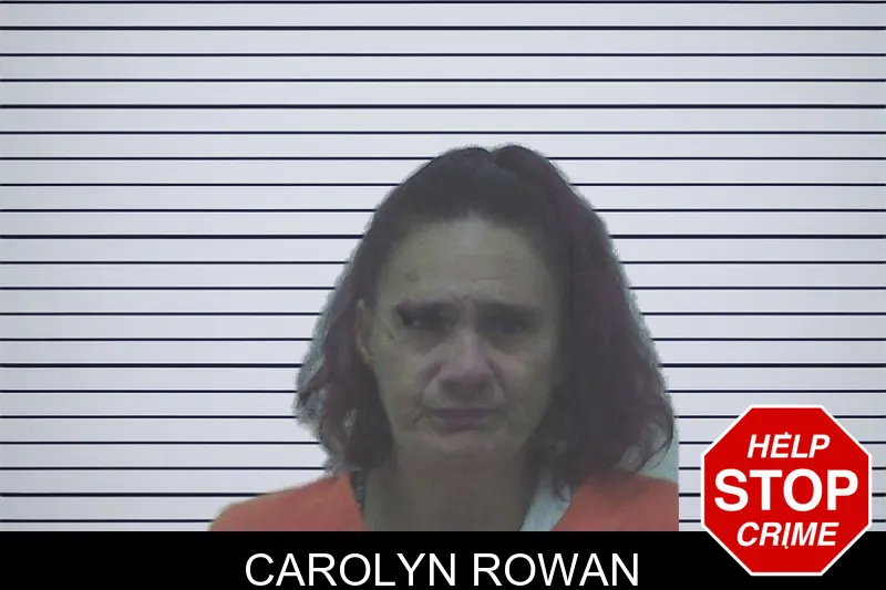 Carolyn Rowan mugshot – Worth County , Georgia Carolyn Rowan mugshot