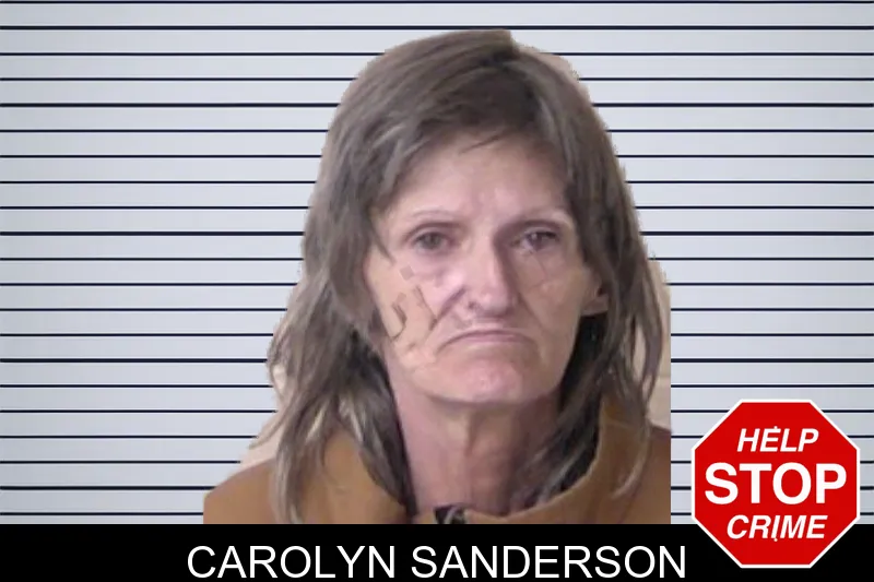 Carolyn Sanderson mugshot – Walker County , Georgia Carolyn Sanderson mugshot