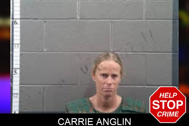 Carrie Anglin mugshot – Banks County , Georgia Carrie Anglin mugshot