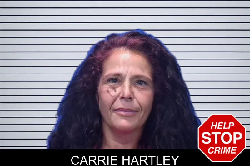 Carrie Hartley mugshot – Troup County , Georgia Carrie Hartley mugshot
