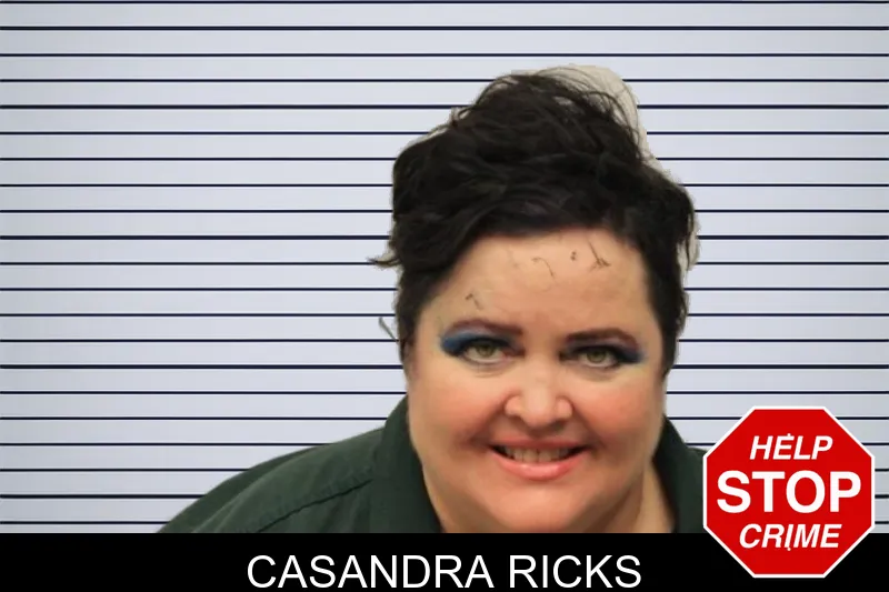 Casandra Ricks mugshot – Chatham County , Georgia Casandra Ricks mugshot