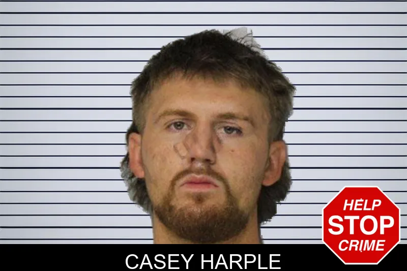 Casey Harple mugshot – Hall County , Georgia Casey Harple mugshot