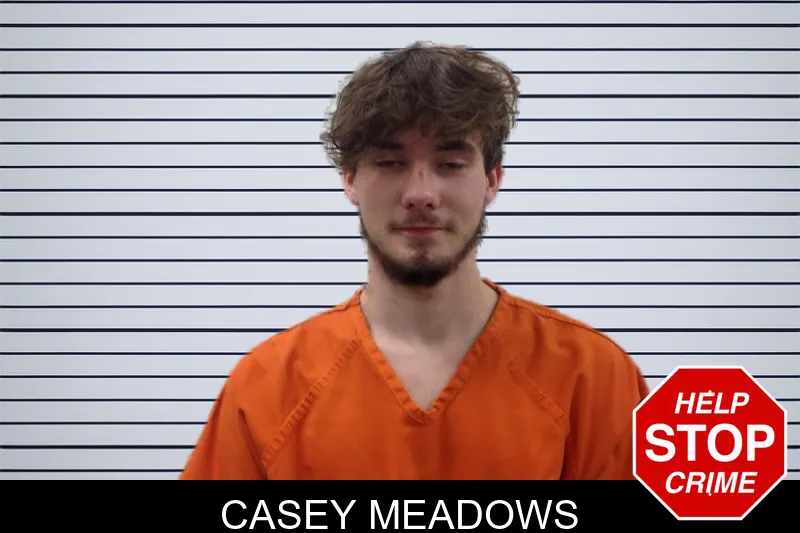 Casey Meadows mugshot – Pickens County , Georgia Casey Meadows mugshot