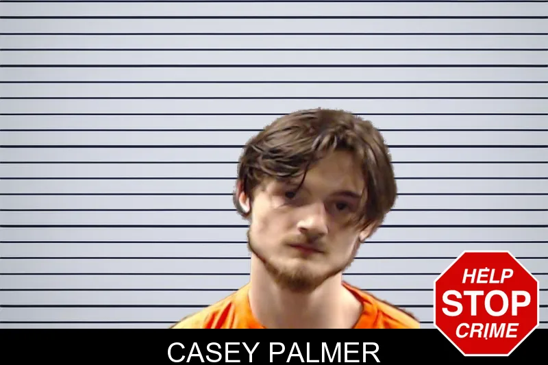 Casey Palmer mugshot – DeKalb County , Georgia Casey Palmer mugshot