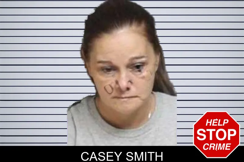 Casey Smith mugshot – Bacon County , Georgia Casey Smith mugshot