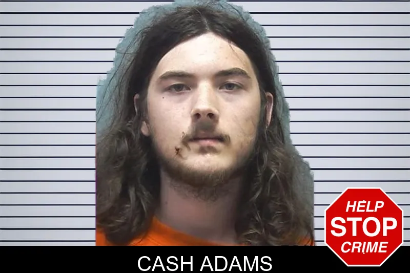 Cash Adams mugshot – Cherokee County , Georgia Cash Adams mugshot
