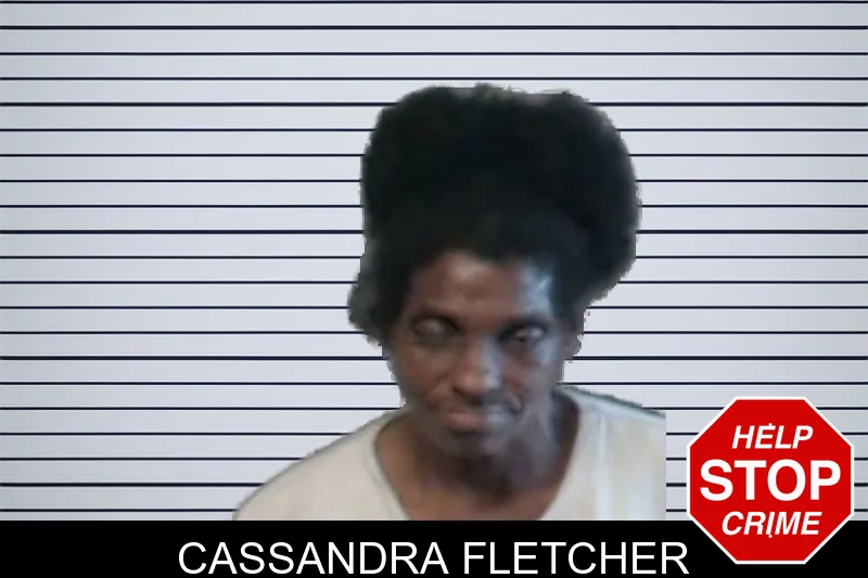Cassandra Fletcher mugshot – DeKalb County , Georgia Cassandra Fletcher mugshot