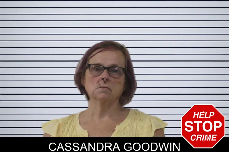 Cassandra Goodwin mugshot – Washington County , Georgia Cassandra Goodwin mugshot