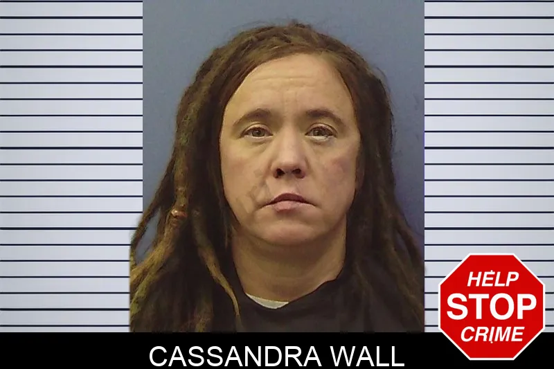 Cassandra Wall mugshot – Chattooga County , Georgia Cassandra Wall mugshot