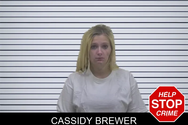 Cassidy Brewer mugshot – Coffee County , Georgia Cassidy Brewer mugshot