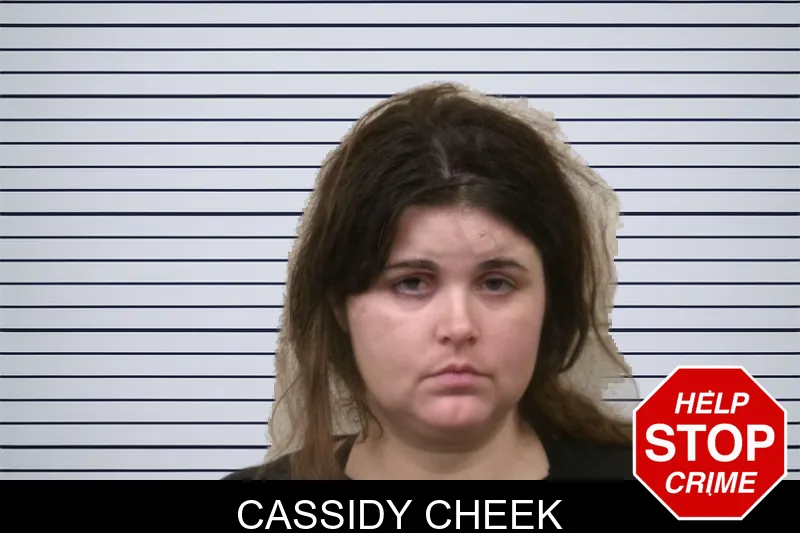 Cassidy Cheek mugshot – Bulloch County , Georgia Cassidy Cheek mugshot
