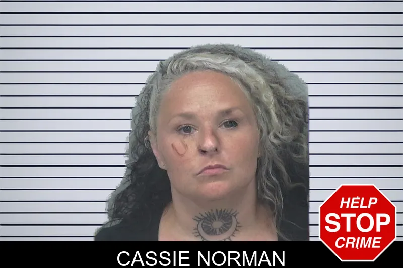 Cassie Norman mugshot – Gwinnett County , Georgia Cassie Norman mugshot