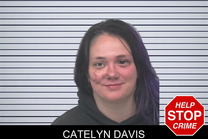 Catelyn Davis mugshot – Gwinnett County , Georgia Catelyn Davis mugshot