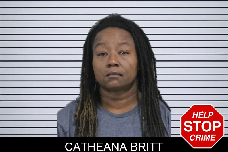 Catheana Britt mugshot – Catoosa County , Georgia Catheana Britt mugshot