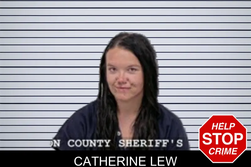 Catherine Lew mugshot – Walton County , Georgia Catherine Lew mugshot