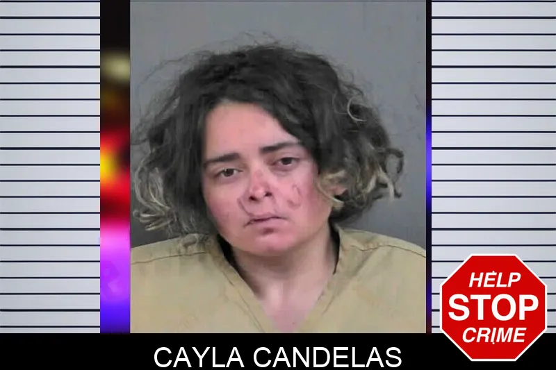 Cayla Candelas mugshot – Gordon County , Georgia Cayla Candelas mugshot
