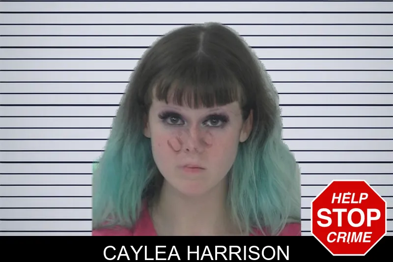 Caylea Harrison mugshot