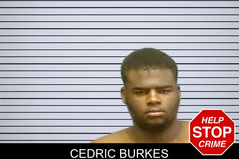 Cedric Burkes mugshot
