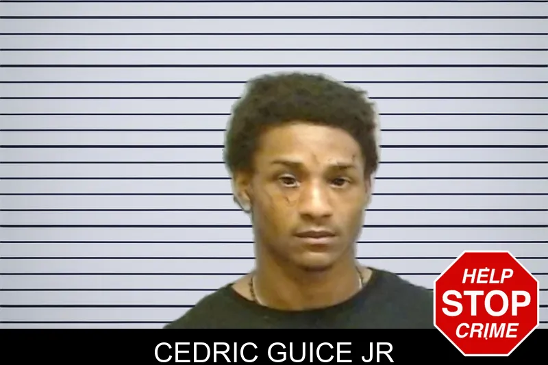 Cedric Guice Jr mugshot – Fulton County , Georgia Cedric Guice Jr mugshot