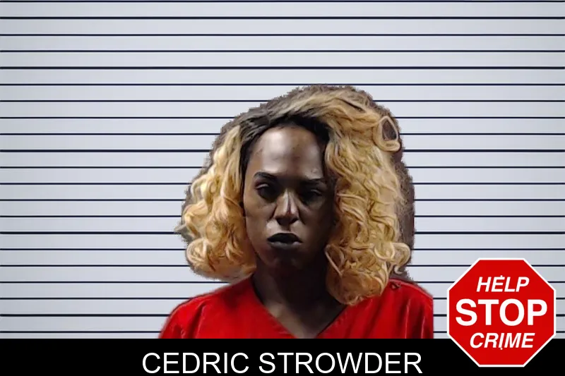 Cedric Strowder mugshot – DeKalb County , Georgia Cedric Strowder mugshot