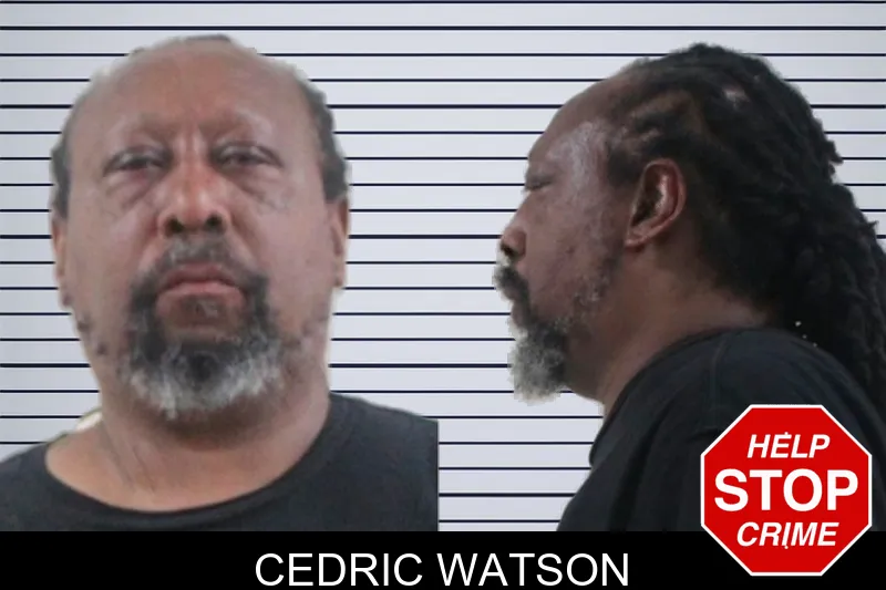 Cedric Watson mugshot – Houston County , Georgia Cedric Watson mugshot