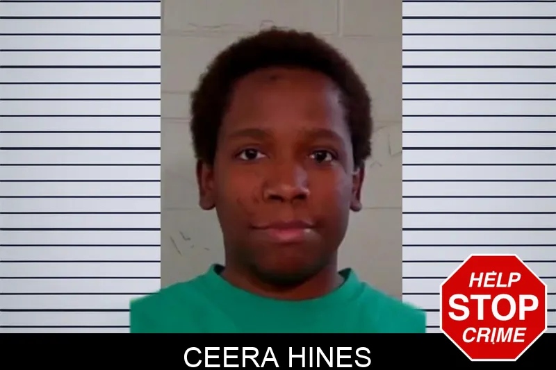 Ceera Hines mugshot – Liberty County , Georgia Ceera Hines mugshot