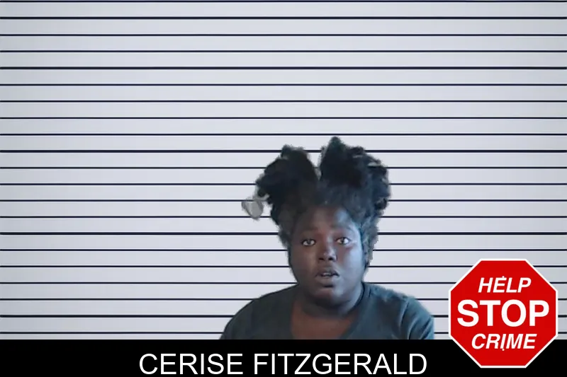 Cerise Fitzgerald mugshot – DeKalb County , Georgia Cerise Fitzgerald mugshot