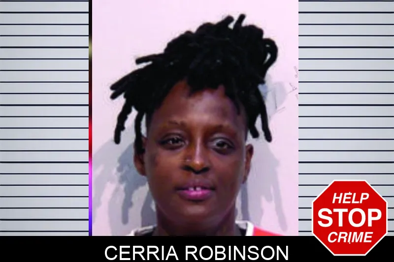 Cerria Robinson mugshot – Bartow County , Georgia Cerria Robinson mugshot